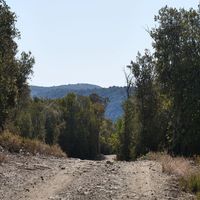 Photo de France - La randonnée du lac des Olivettes